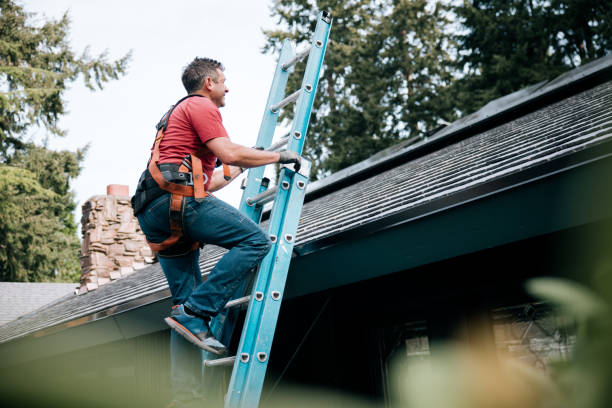 Best Roof Maintenance and Cleaning  in Burlington, WI